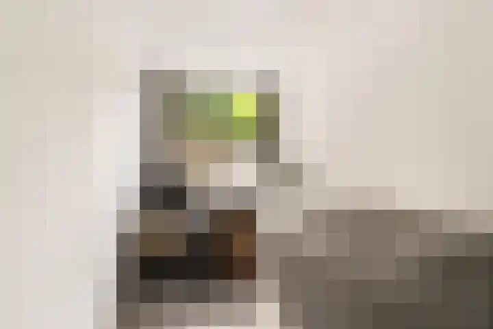 Gedempte Biersloot 38 Vlaardingen thumbnail 23