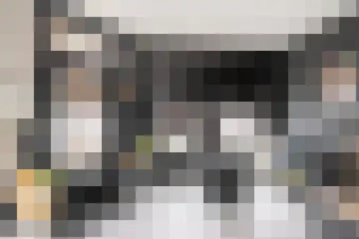 Gedempte Biersloot 38 Vlaardingen thumbnail 4