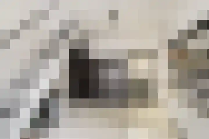 Gedempte Biersloot 38 Vlaardingen thumbnail 9