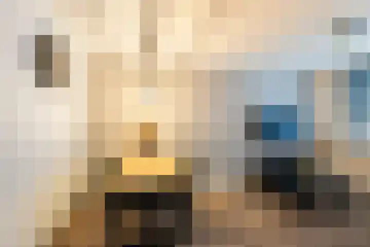 Gedempte Biersloot 4 Vlaardingen thumbnail 14