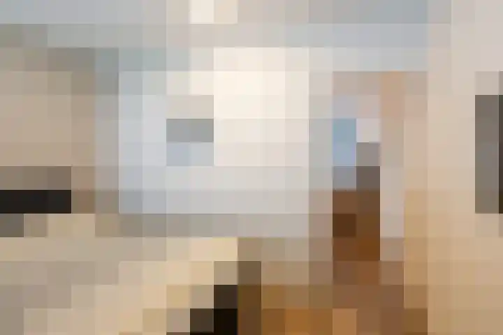 Gedempte Biersloot 4 Vlaardingen thumbnail 22