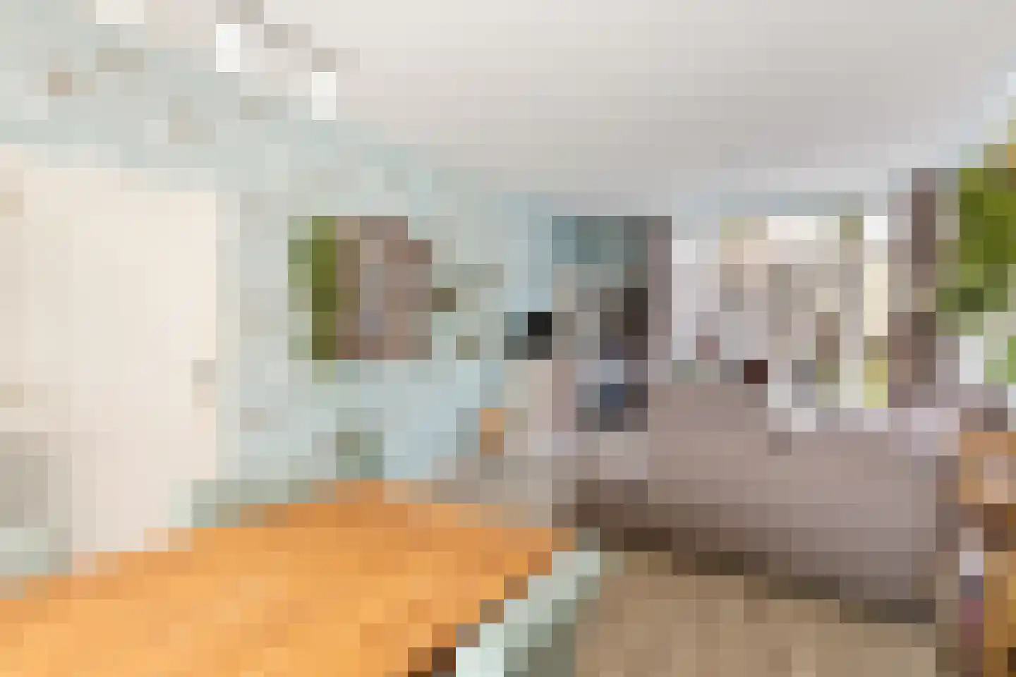 Gedempte Binnengracht 56 Woerden thumbnail 10
