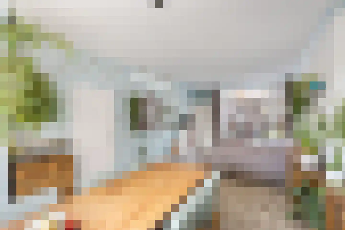 Gedempte Binnengracht 56 Woerden thumbnail 11