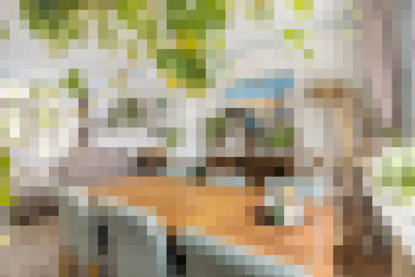 Gedempte Binnengracht 56 Woerden thumbnail 14