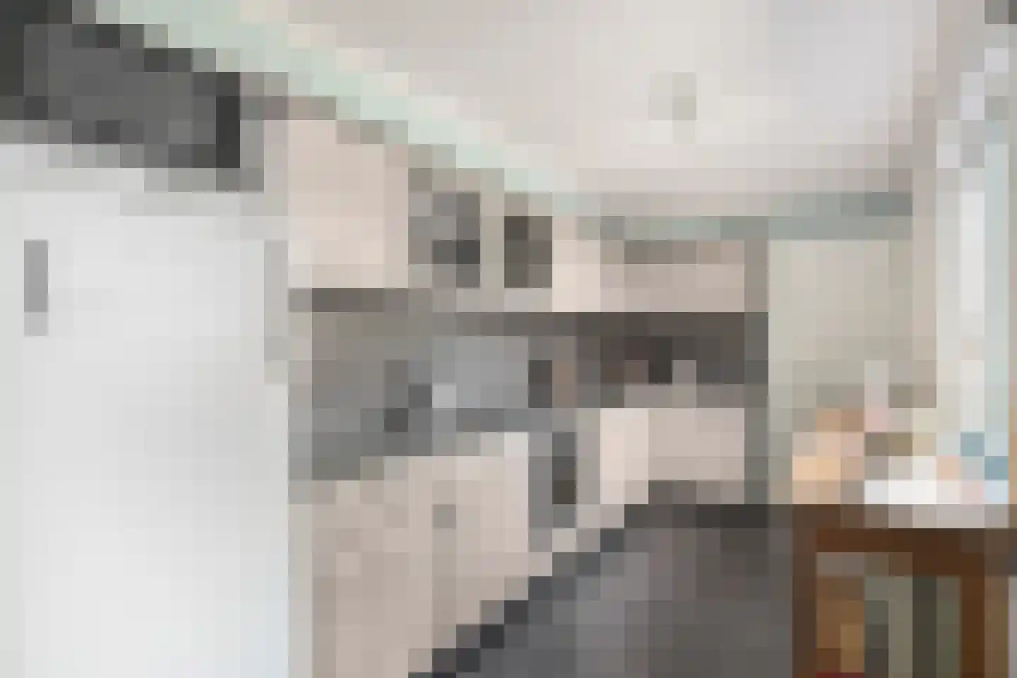 Gedempte Binnengracht 56 Woerden thumbnail 15