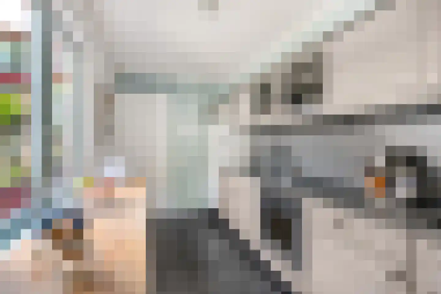 Gedempte Binnengracht 56 Woerden thumbnail 16