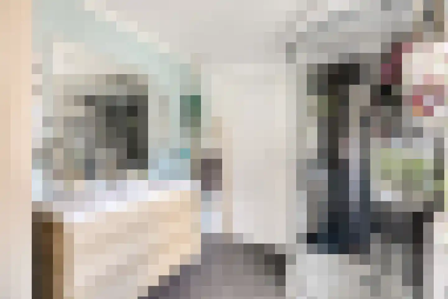 Gedempte Binnengracht 56 Woerden thumbnail 18