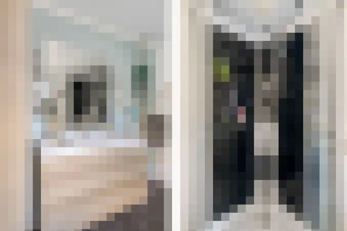 Gedempte Binnengracht 56 Woerden thumbnail 20