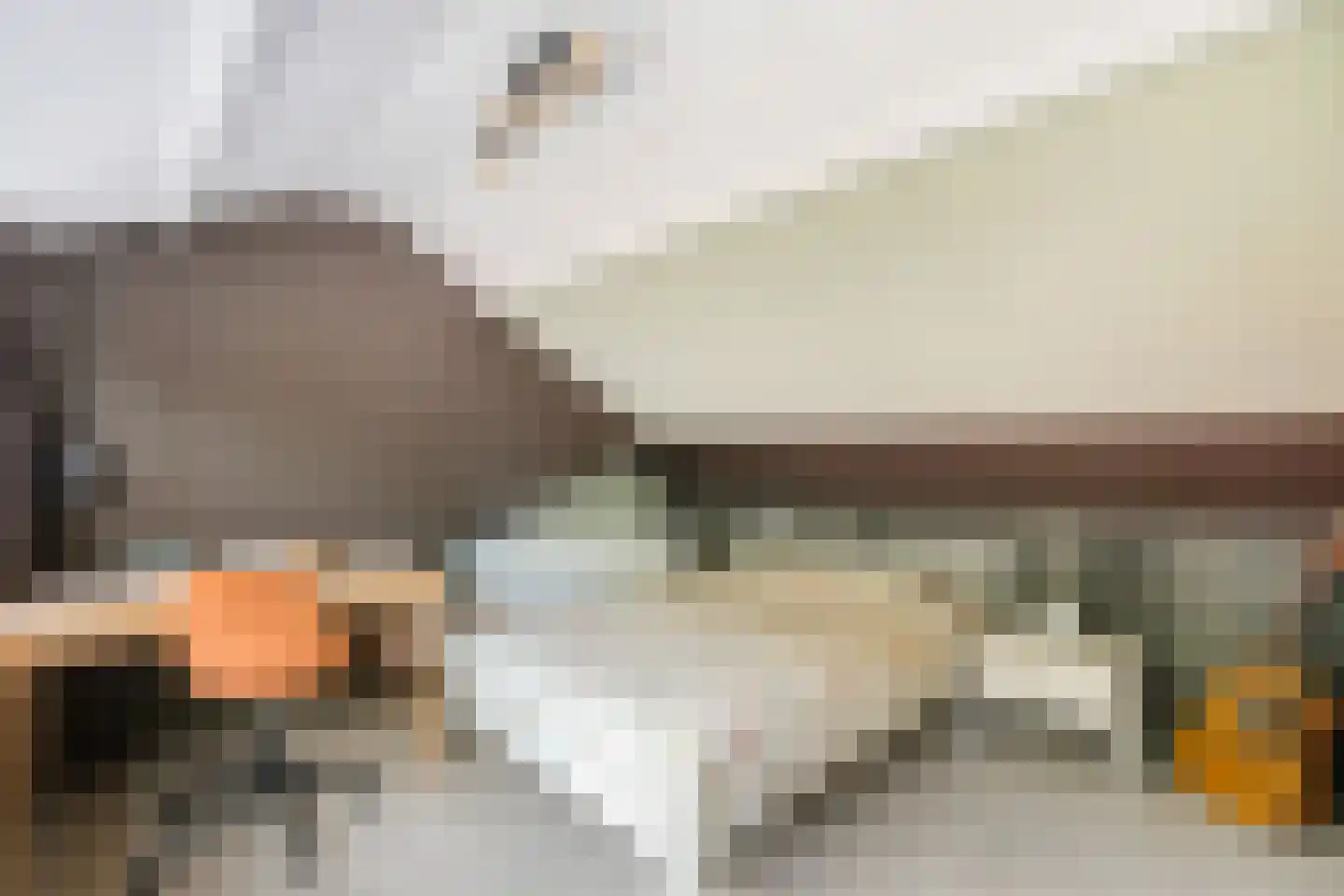 Gedempte Binnengracht 56 Woerden thumbnail 28