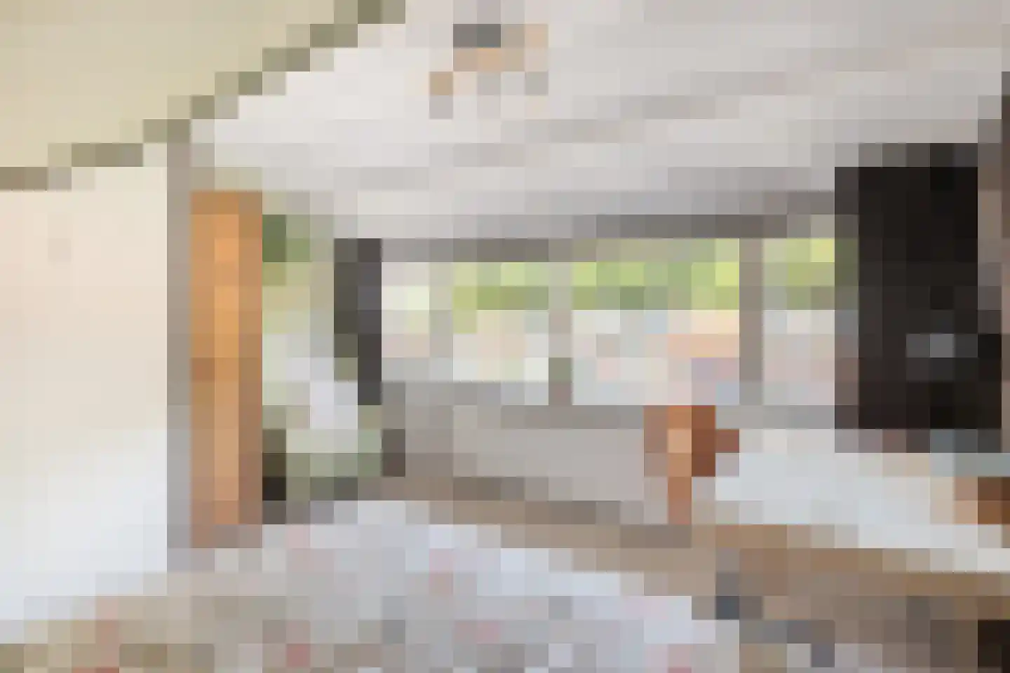 Gedempte Binnengracht 56 Woerden thumbnail 29