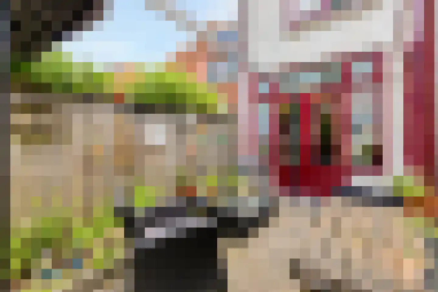 Gedempte Binnengracht 56 Woerden foto 3