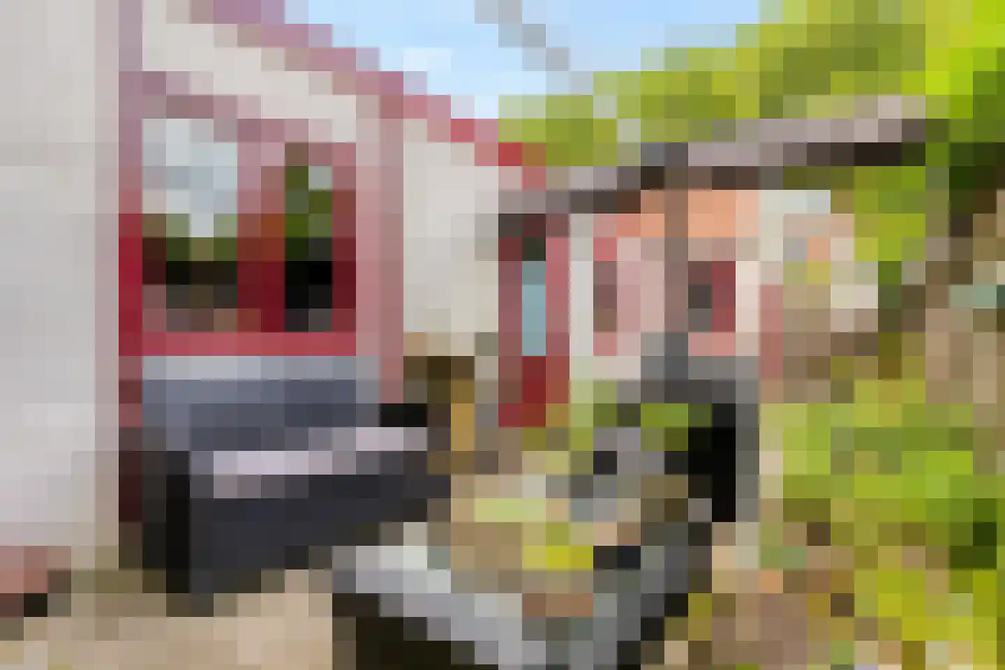 Gedempte Binnengracht 56 Woerden thumbnail 30