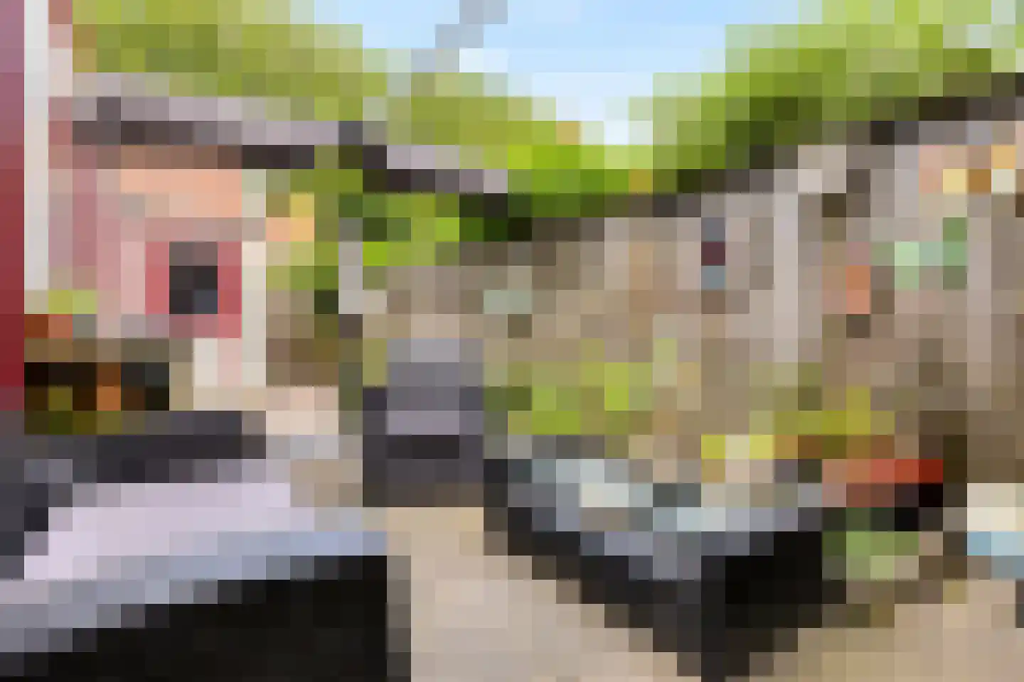 Gedempte Binnengracht 56 Woerden thumbnail 31