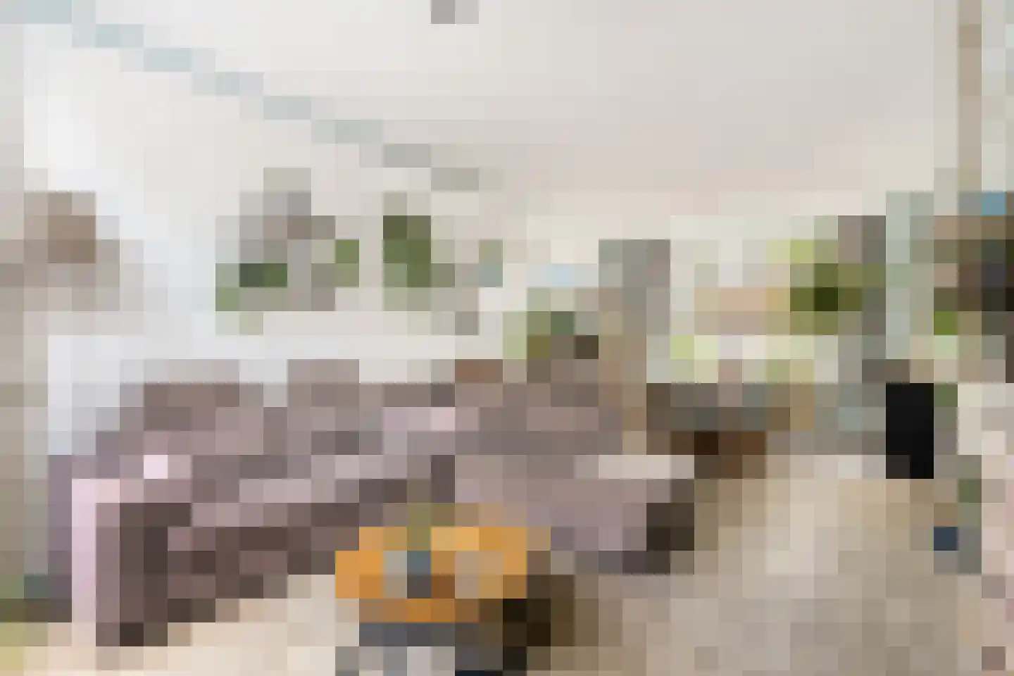 Gedempte Binnengracht 56 Woerden thumbnail 7