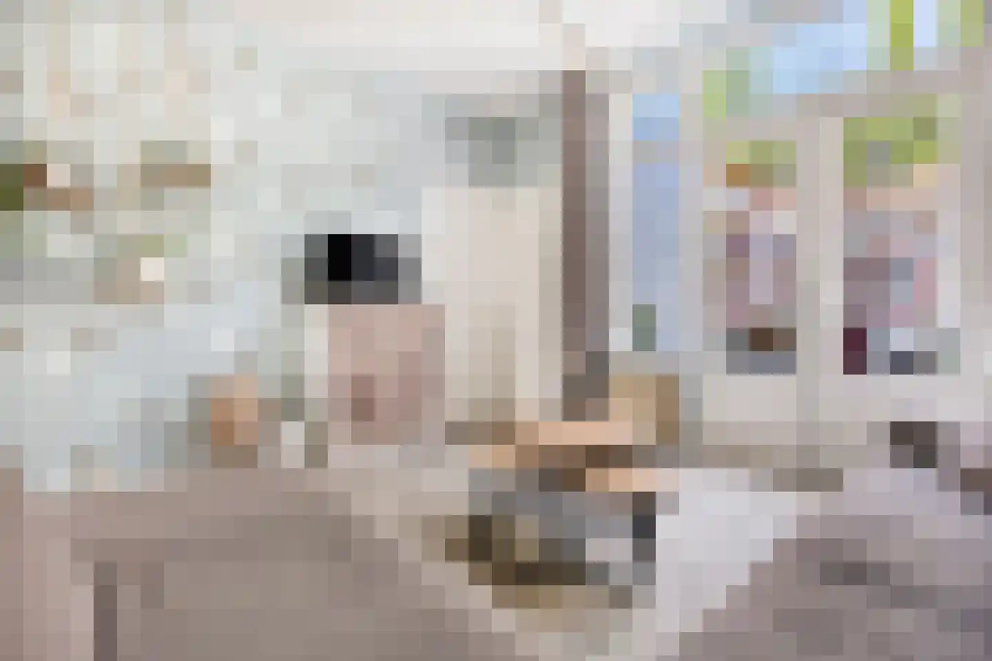 Gedempte Binnengracht 56 Woerden thumbnail 8