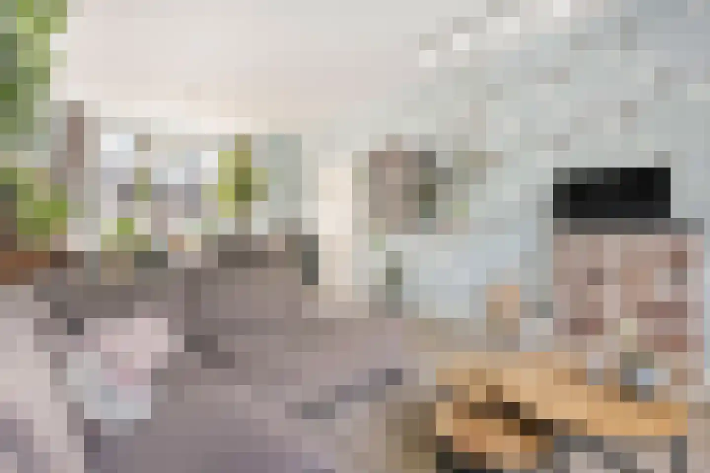 Gedempte Binnengracht 56 Woerden thumbnail 9