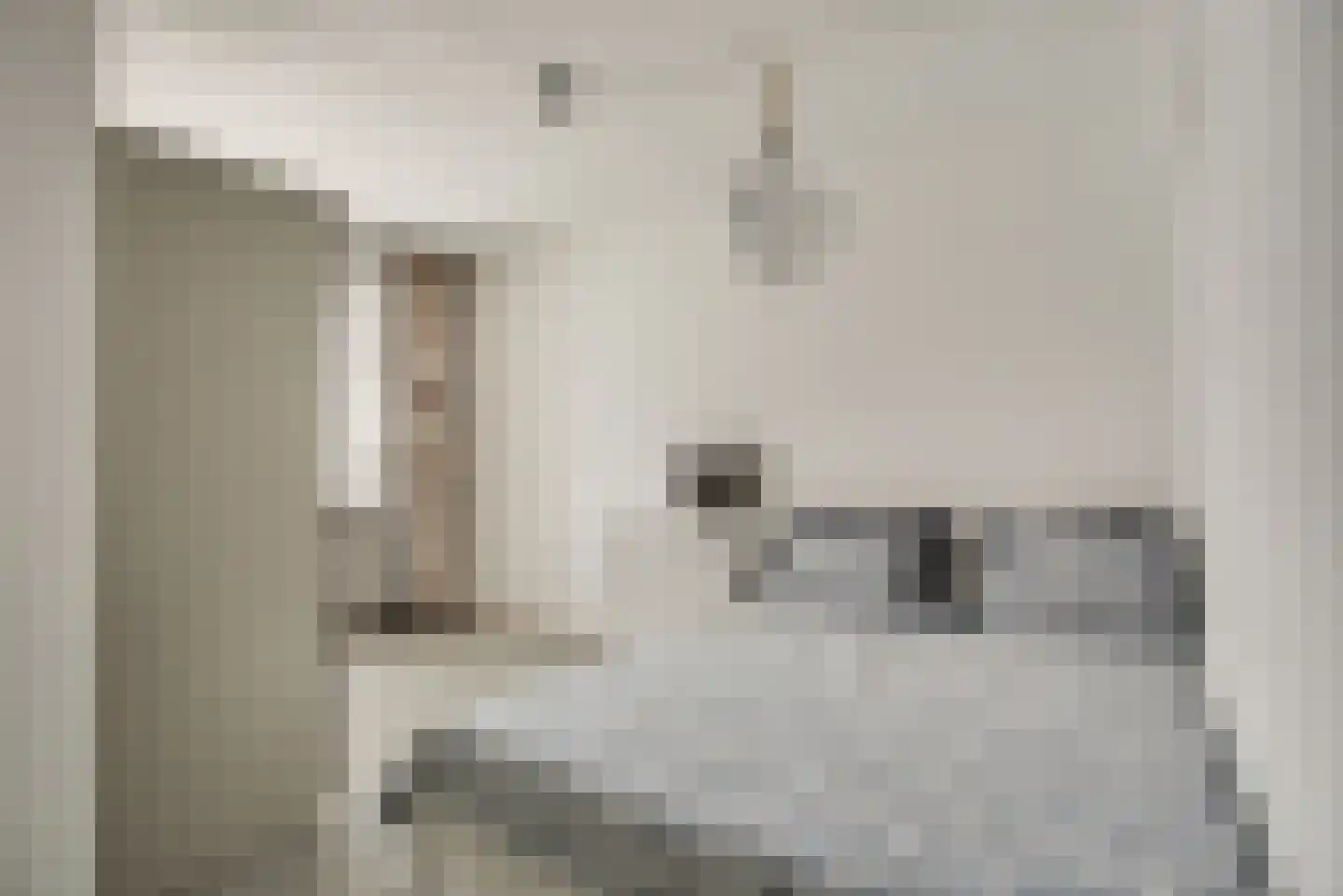 Gedempte Burgwal 10 B Den Haag thumbnail 16