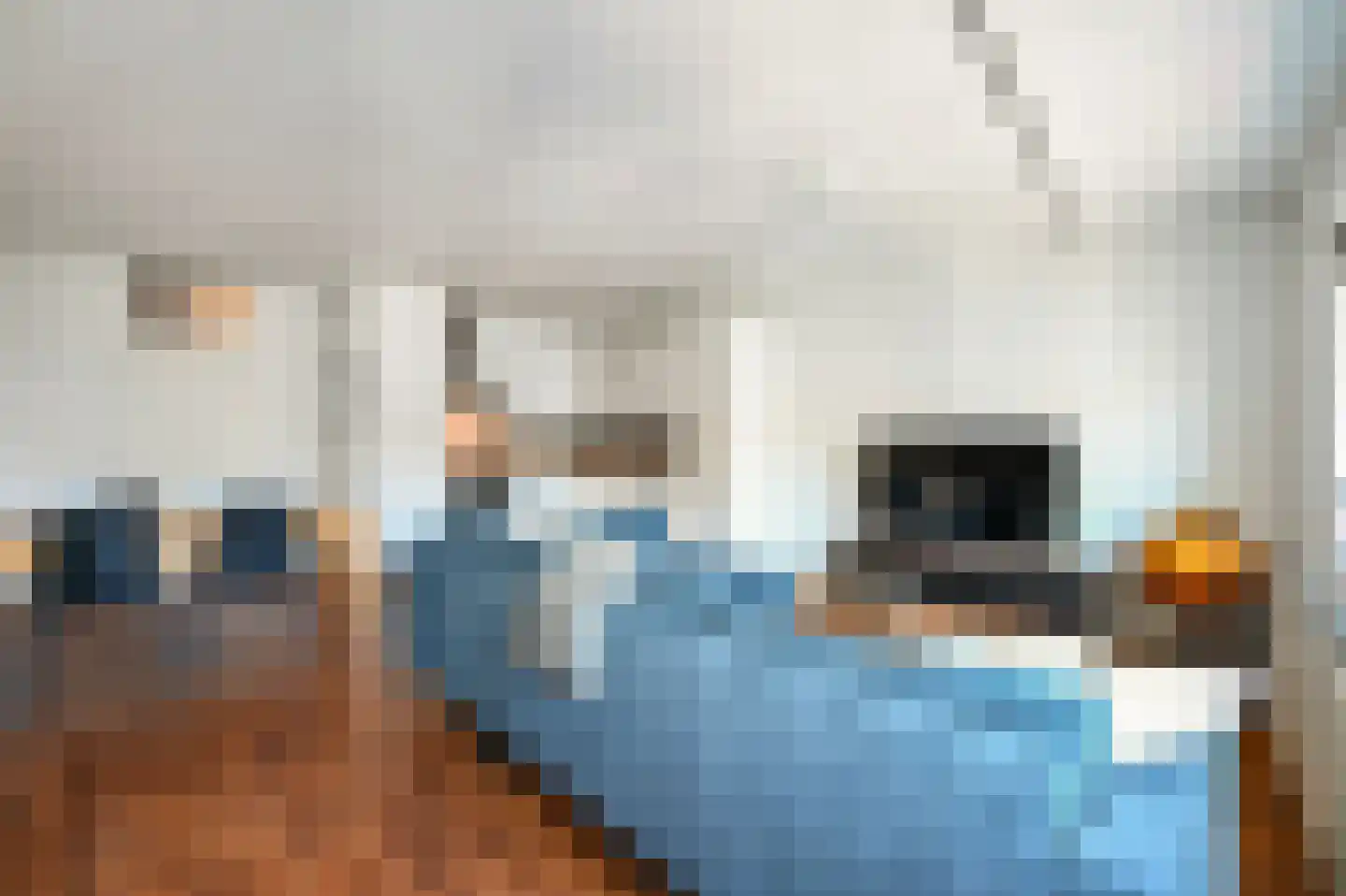 Gedempte Burgwal 10 H Den Haag thumbnail 12