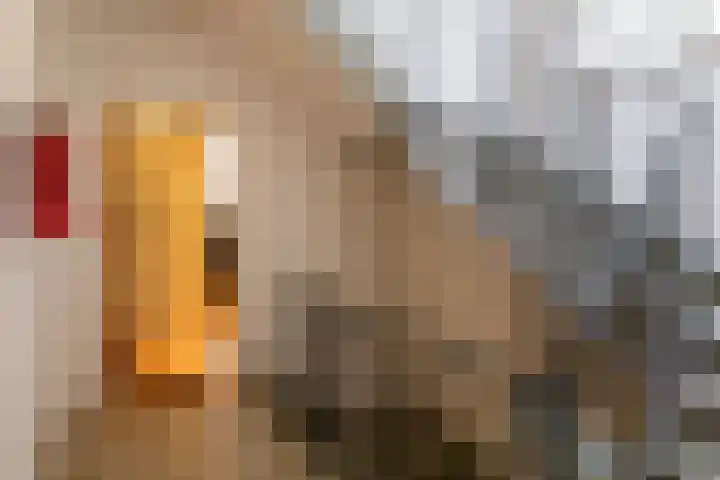 Gedempte Burgwal 12 A Den Haag thumbnail 12