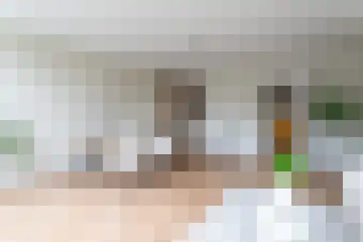 Gedempte Burgwal 12 A Den Haag thumbnail 4