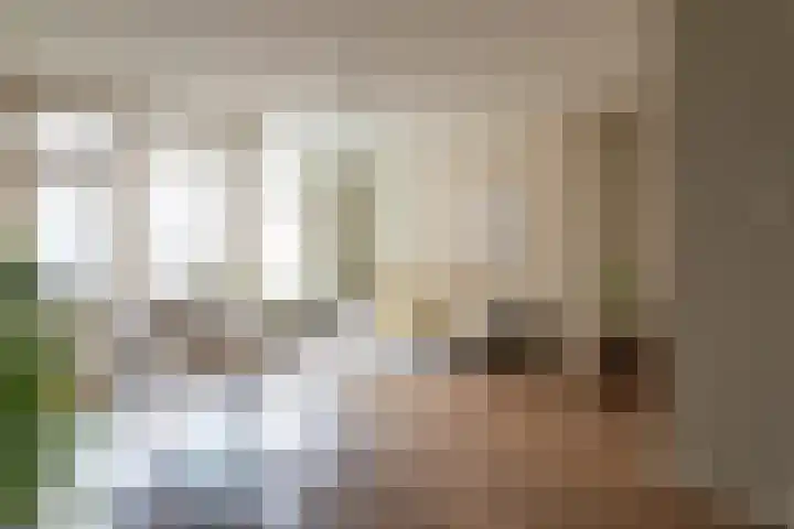 Gedempte Burgwal 12 B Den Haag thumbnail 14