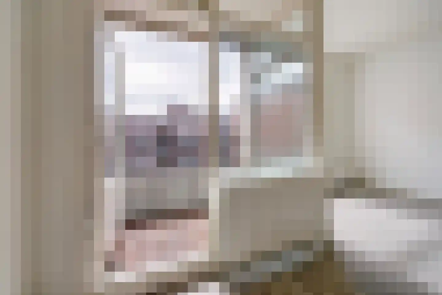 Gedempte Burgwal 12 E Den Haag thumbnail 12