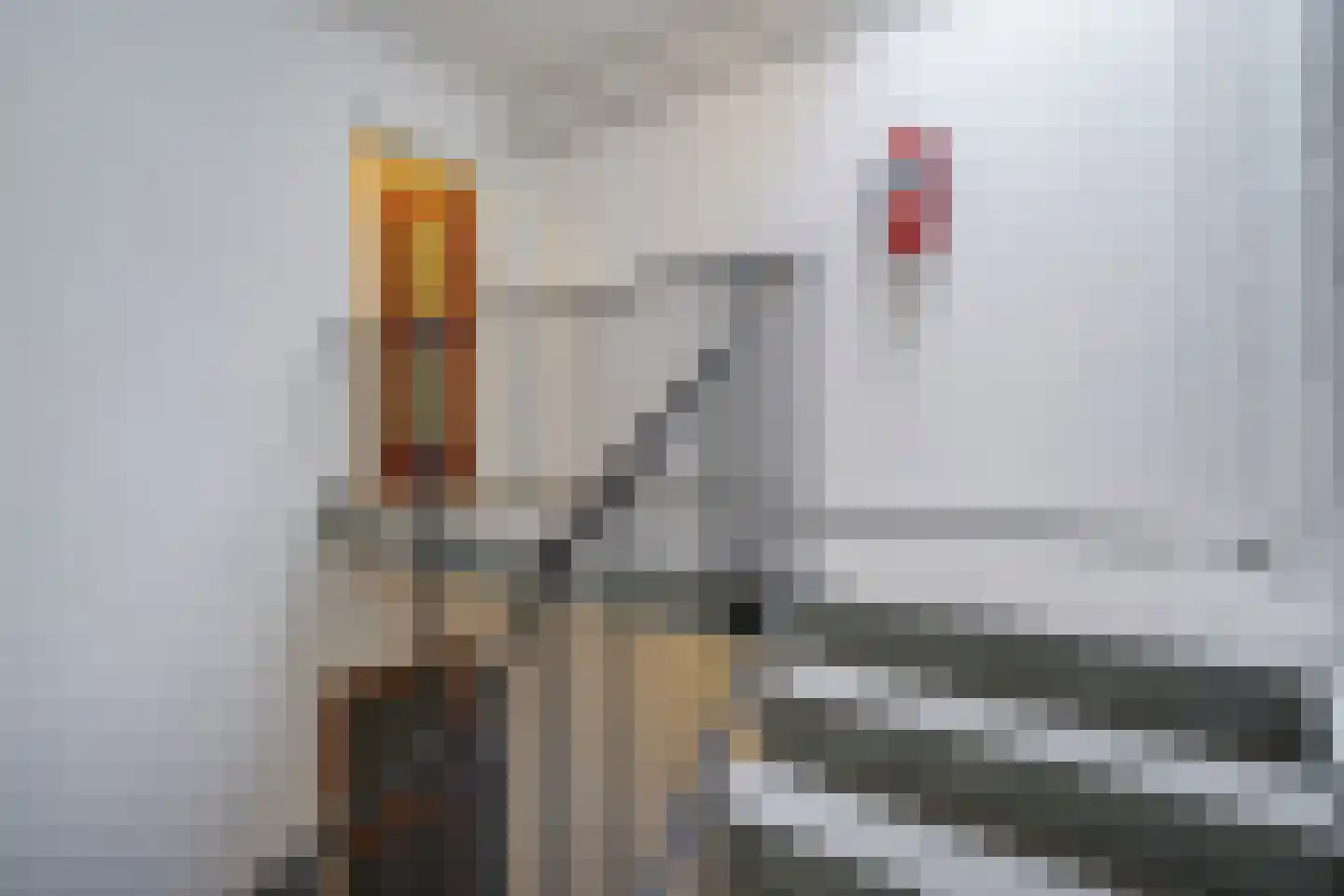 Gedempte Burgwal 12 E Den Haag thumbnail 22