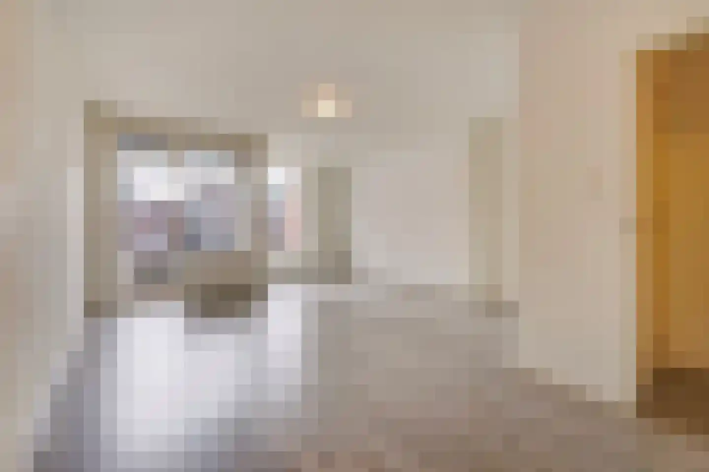 Gedempte Burgwal 12 E Den Haag thumbnail 5