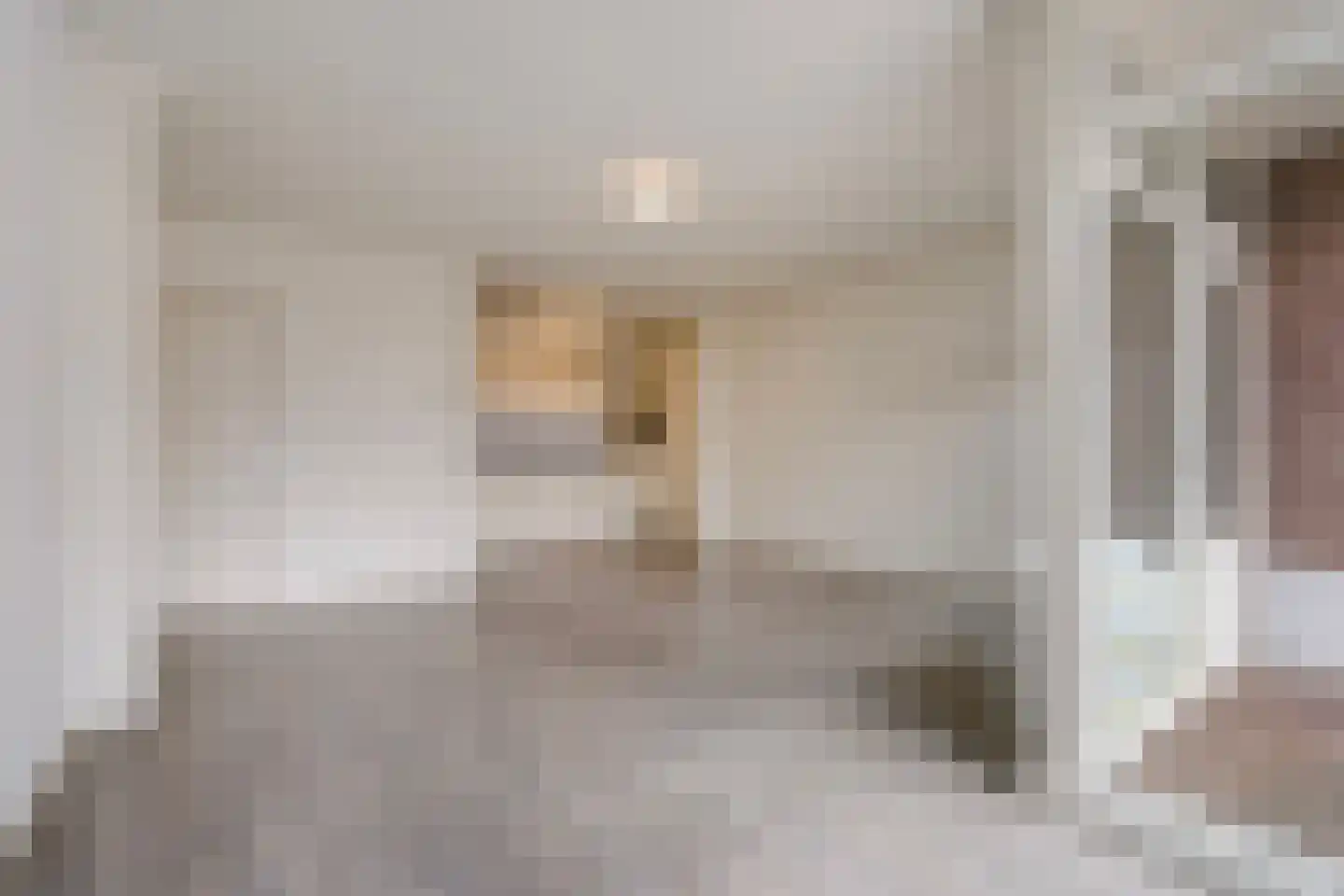 Gedempte Burgwal 12 E Den Haag thumbnail 8