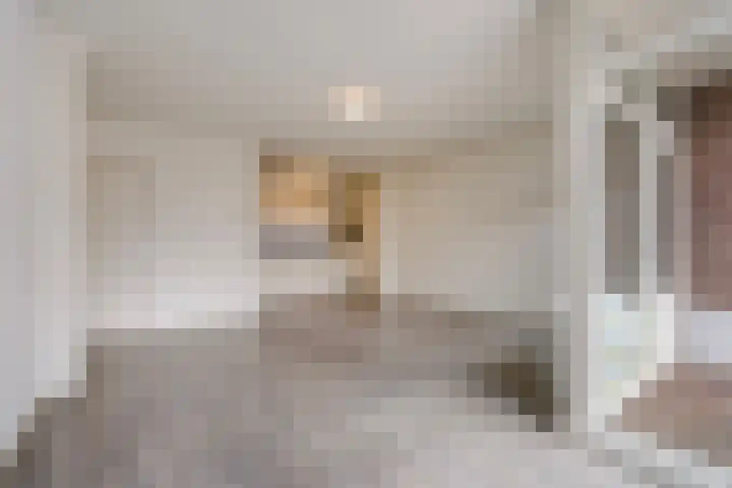 Gedempte Burgwal 12 E Den Haag thumbnail 8