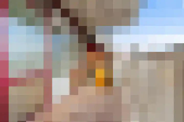 Gedempte Burgwal 20 D Den Haag thumbnail 18