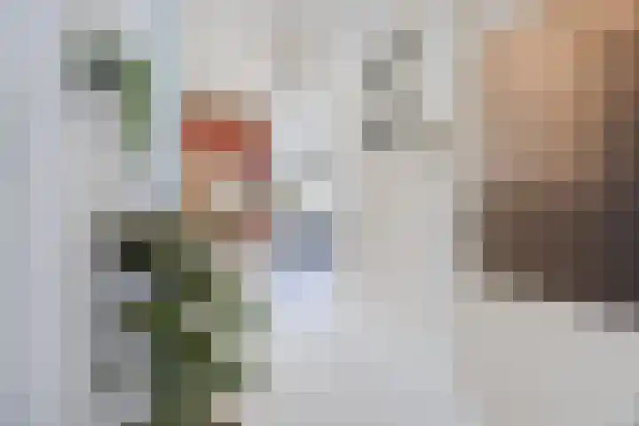 Gedempte Burgwal 8 D Den Haag thumbnail 12