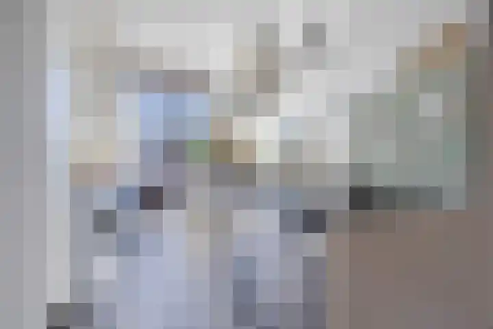 Gedempte Burgwal 8 D Den Haag thumbnail 26