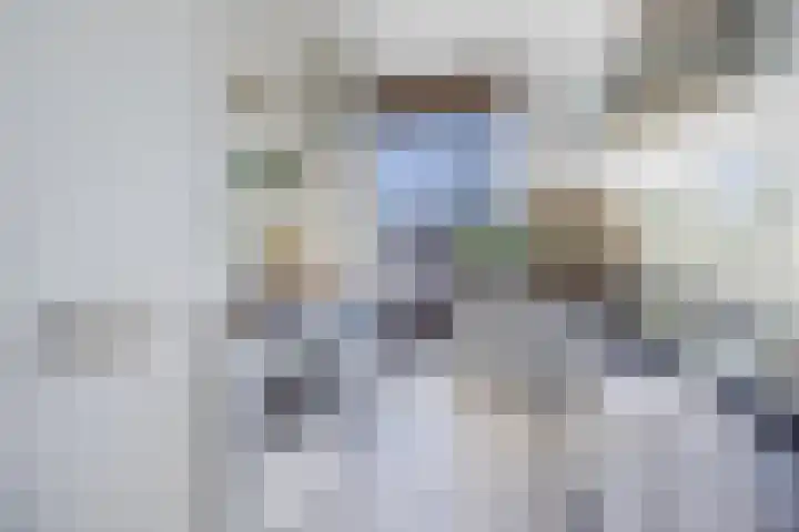 Gedempte Burgwal 8 D Den Haag thumbnail 27
