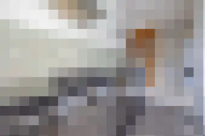Gedempte Burgwal 8 D Den Haag thumbnail 29