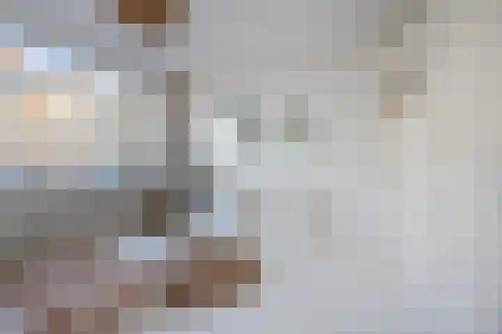 Gedempte Burgwal 8 D Den Haag thumbnail 32