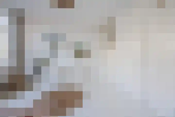 Gedempte Burgwal 8 D Den Haag thumbnail 33