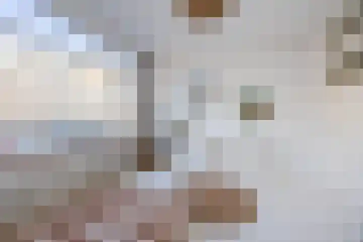 Gedempte Burgwal 8 D Den Haag thumbnail 34