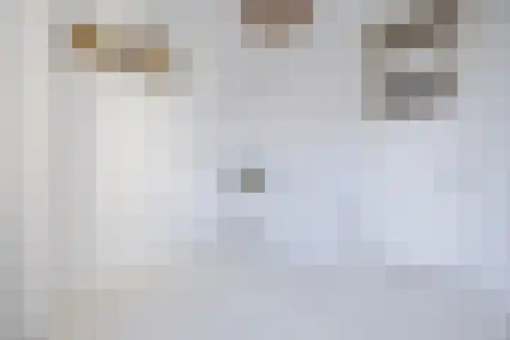 Gedempte Burgwal 8 D Den Haag thumbnail 38