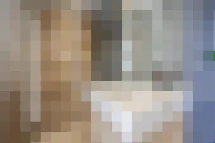 Gedempte Burgwal 8 D Den Haag thumbnail 40