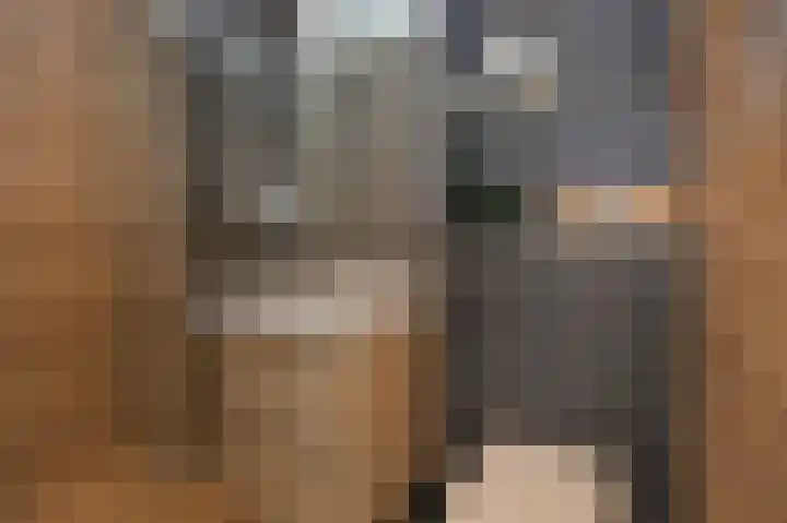 Gedempte Burgwal 8 D Den Haag thumbnail 42