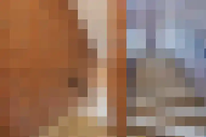 Gedempte Burgwal 8 D Den Haag thumbnail 8