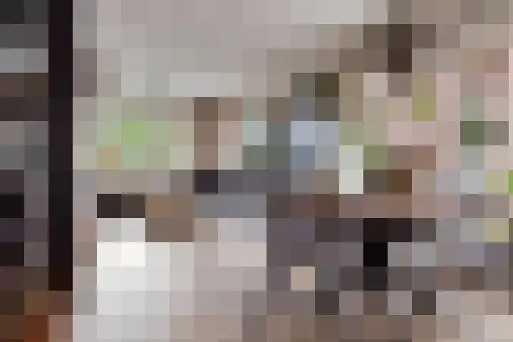 Gedempte Ceresdiep 6 Musselkanaal thumbnail 10