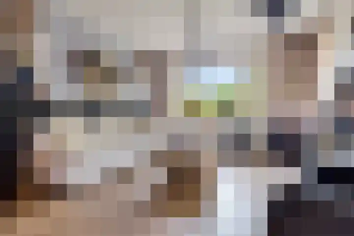 Gedempte Ceresdiep 6 Musselkanaal thumbnail 11