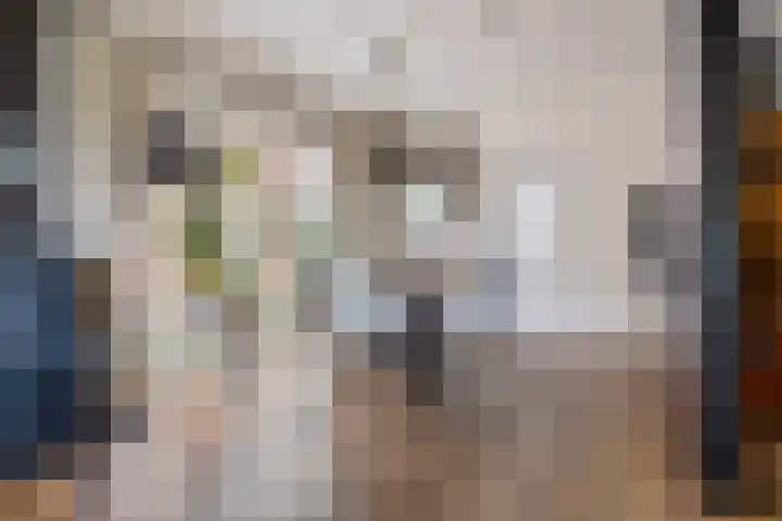 Gedempte Ceresdiep 6 Musselkanaal thumbnail 13