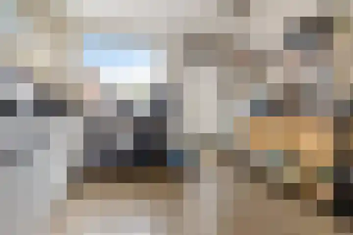 Gedempte Ceresdiep 6 Musselkanaal thumbnail 14