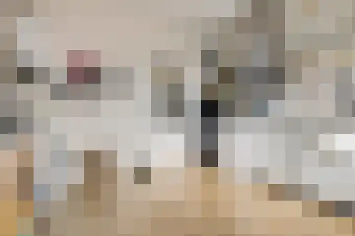 Gedempte Ceresdiep 6 Musselkanaal thumbnail 15