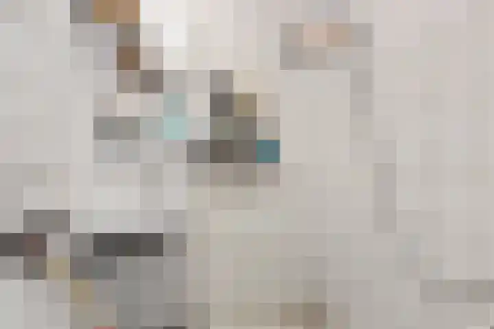 Gedempte Ceresdiep 6 Musselkanaal thumbnail 17