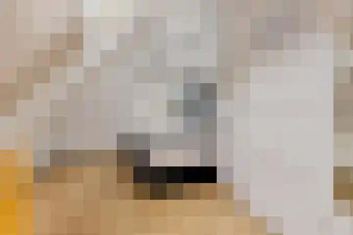 Gedempte Ceresdiep 6 Musselkanaal thumbnail 18