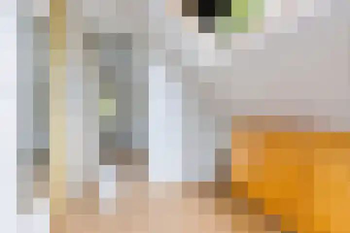 Gedempte Ceresdiep 6 Musselkanaal thumbnail 20